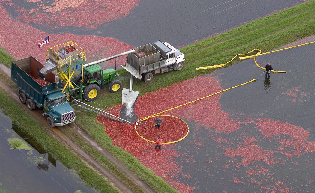 Bassuener Cranberry Marsh and Urban Processing facility in Wisconsin Rapids, Wis., Oct. 3, 2006. (Photo Andy Manis)