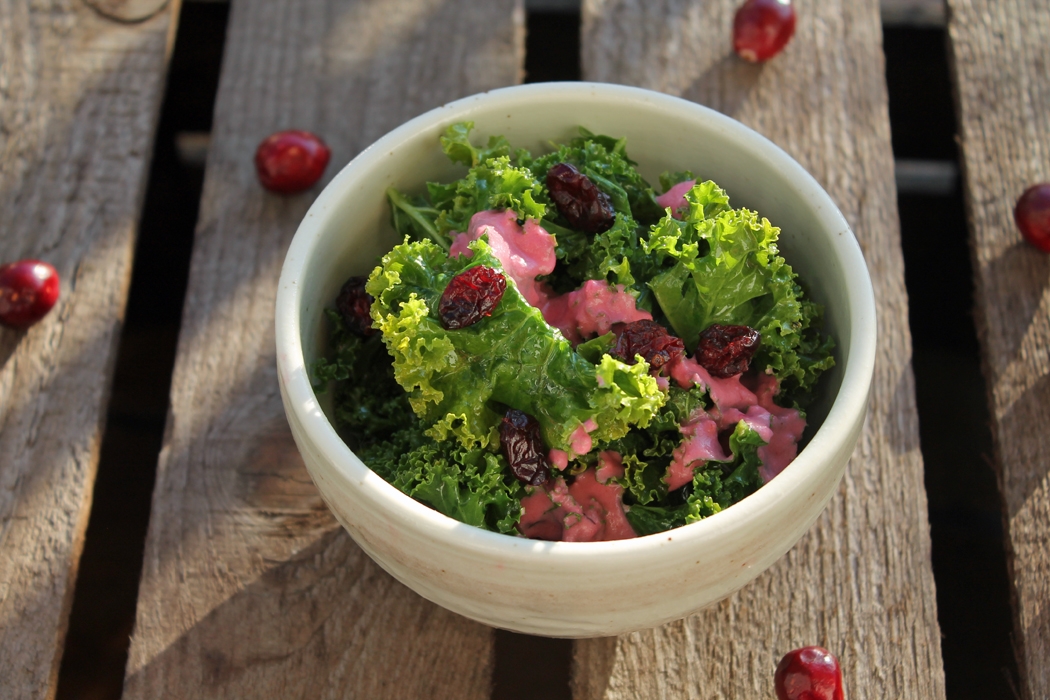 Grünkohl-Salat mit Cranberries